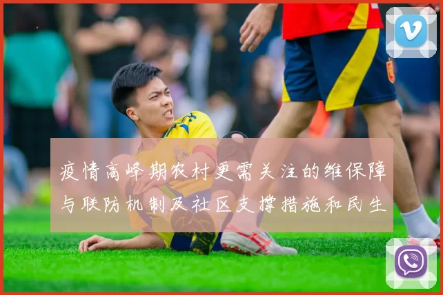 疫情高峰期农村更需关注的维保障与联防机制及社区支撑措施和民生