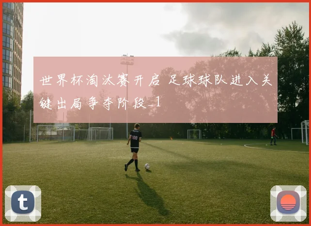 世界杯淘汰赛开启 足球球队进入关键出局争夺阶段_1