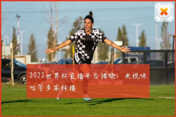 2022世界杯直播平台揭晓,央视咪咕等多家转播