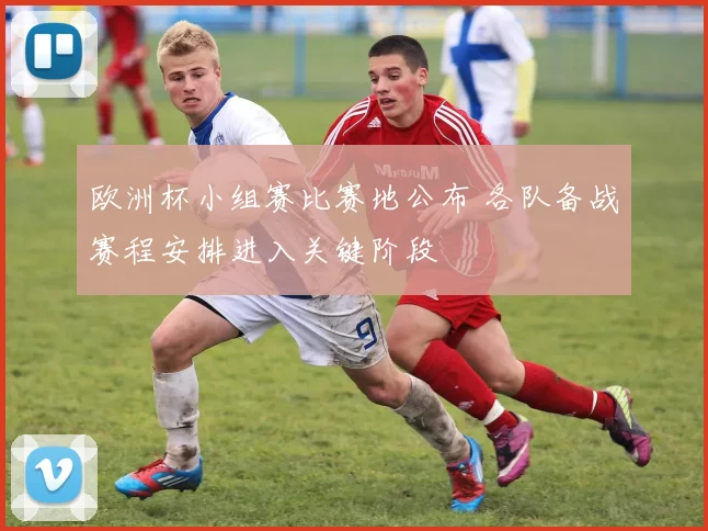 欧洲杯小组赛比赛地公布 各队备战赛程安排进入关键阶段