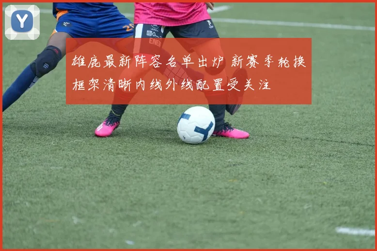 雄鹿最新阵容名单出炉 新赛季轮换框架清晰内线外线配置受关注