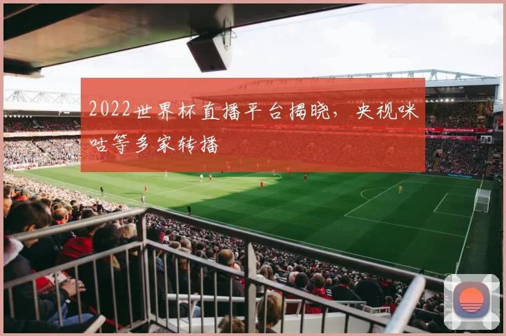 2022世界杯直播平台揭晓,央视咪咕等多家转播